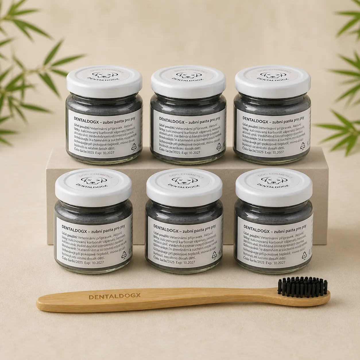 Dentaldogx na půl roku čištění 6x45g