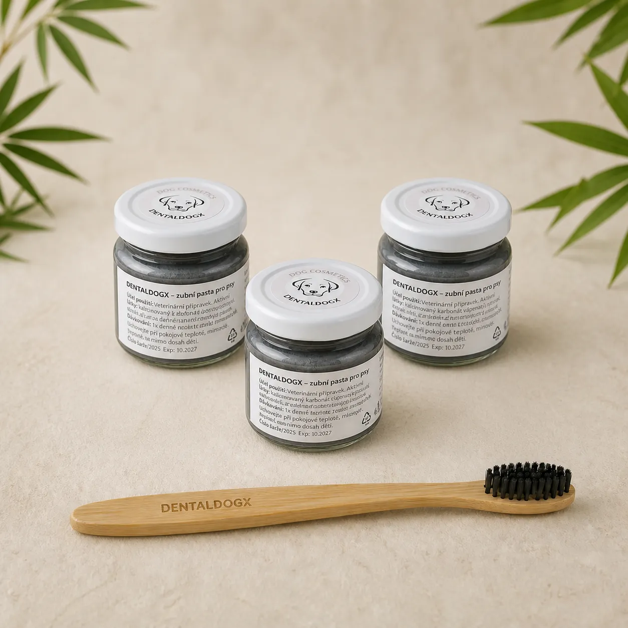 Dentaldogx na čtvrt roku čištění 3x45g